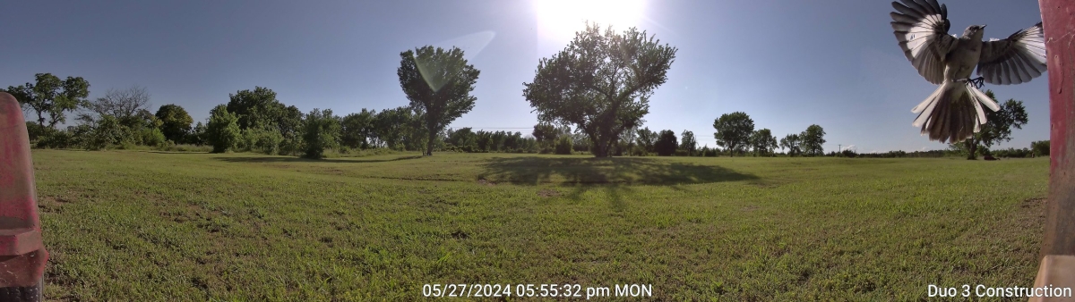 01_20240527175531015