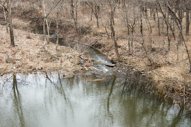 DSC_2667-2