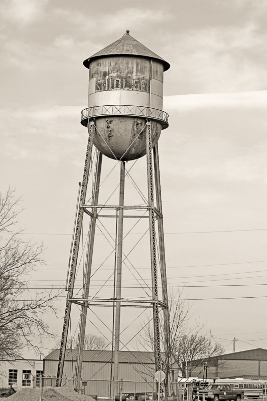 DSC_3508-2-2