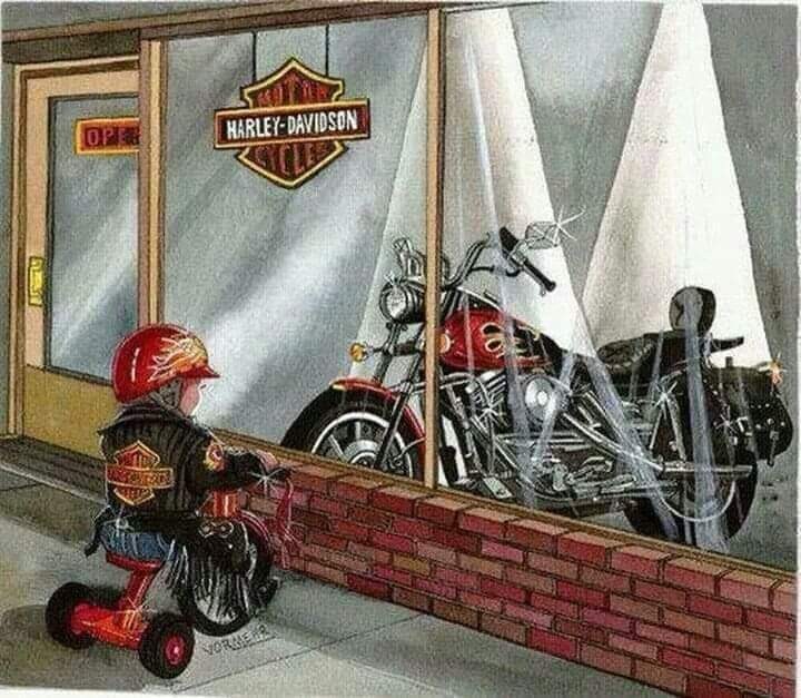 FB_IMG_1716983723951