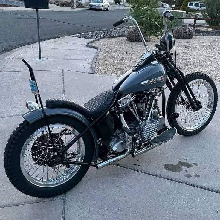 FB_IMG_1719153012352