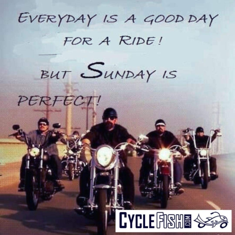 FB_IMG_1719153175617