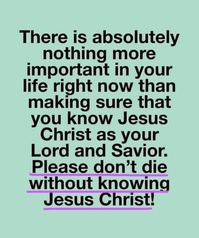 FB_IMG_1719395255290